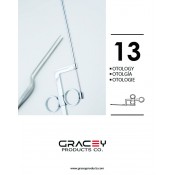 13 OTOLOGY